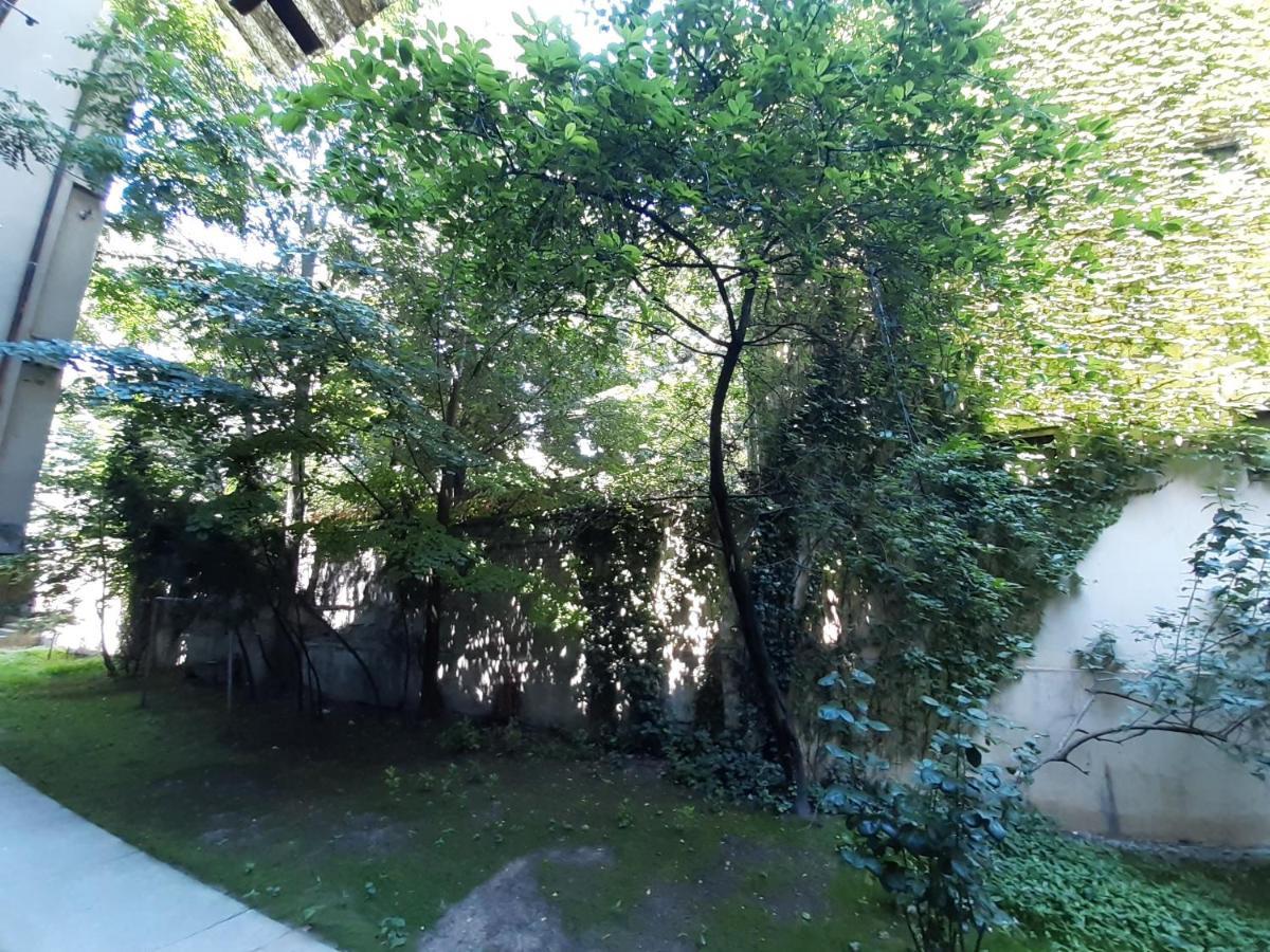 Downtown In Walk Zone With 3 Bedrooms And Garage
